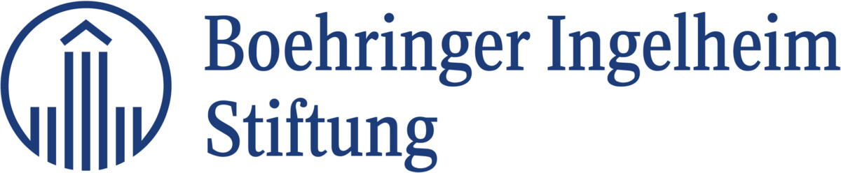 BI Stiftung Logo, blau, RGB 300 dpi WEBSITES2021